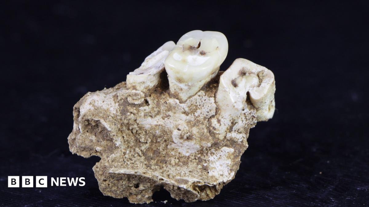 Drug use may have begun 25,000 years ago, new research finds