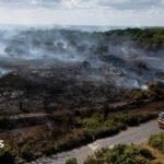 Lives will be lost unless UK does more to combat wildfires, committee chair says