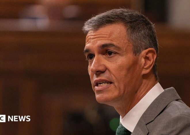 Spain’s Prime Minister Pedro Sánchez calls early election