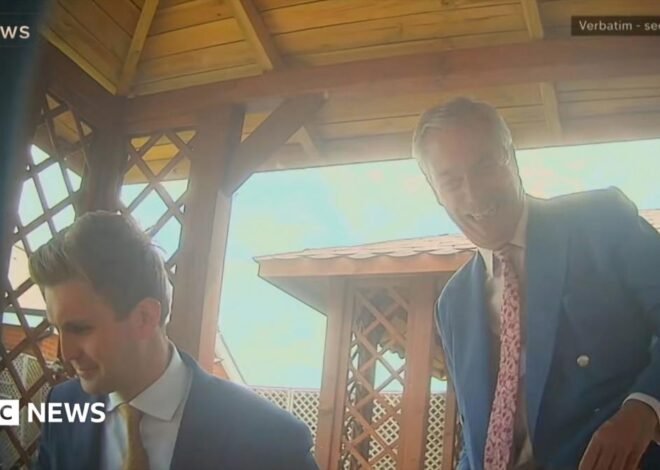 Reform internal inquiry says party did not break law over donations sting