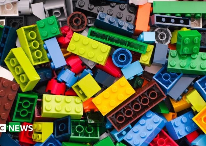 Lego fraudster among last year’s most high-profile insurance scammers