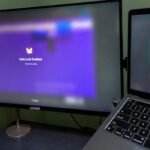 Human Verification