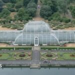 How to move 1,300 plants for Kew’s Palm House mega makeover