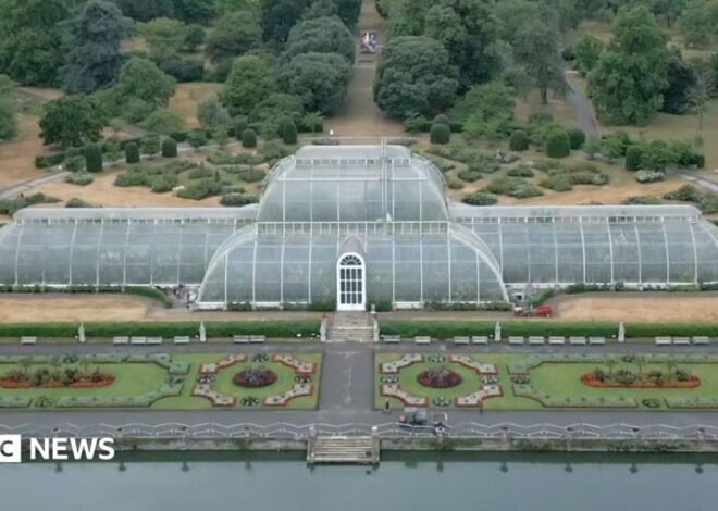 How to move 1,300 plants for Kew’s Palm House mega makeover