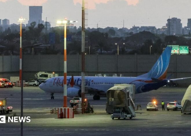 Flydubai co-pilot planned to crash plane into airport, reports suggest